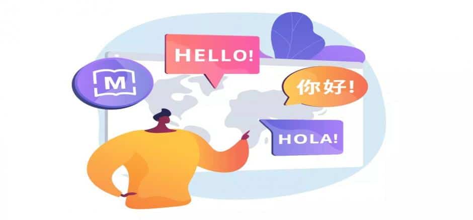 What is a Language Service Provider LSP